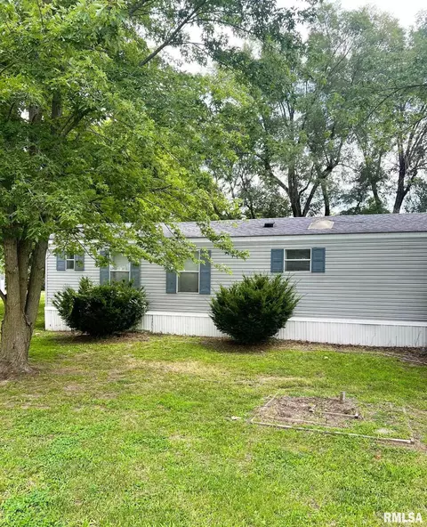 102 E Main St, Bath, IL 62617 photo 3