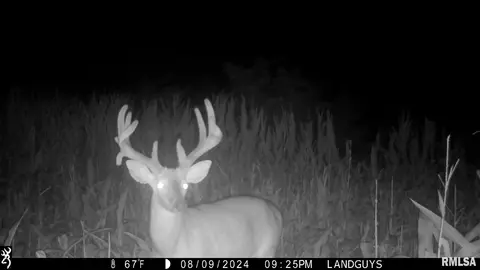 000 Evans Mill Rd, Edwards, IL 61528 photo 13