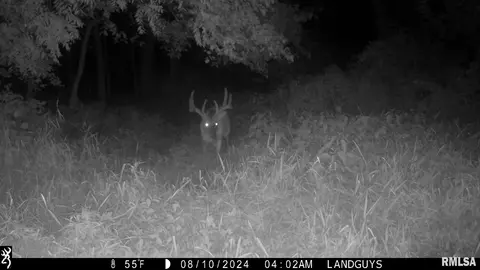 000 Evans Mill Rd, Edwards, IL 61528 photo 17