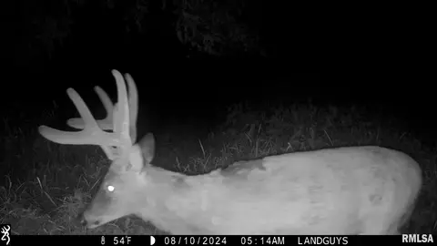 000 Evans Mill Rd, Edwards, IL 61528 photo 19