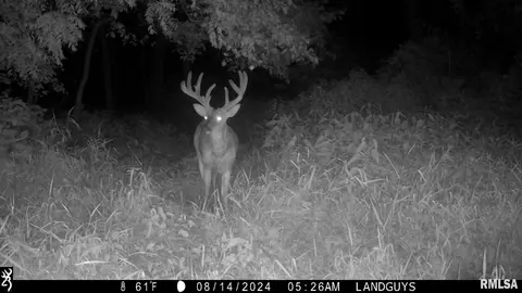 000 Evans Mill Rd, Edwards, IL 61528 photo 22
