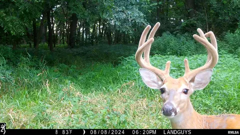 000 Evans Mill Rd, Edwards, IL 61528 photo 15