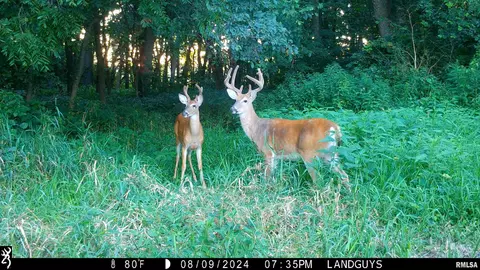 000 Evans Mill Rd, Edwards, IL 61528 photo 16