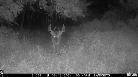 000 Evans Mill Rd, Edwards, IL 61528 photo 20