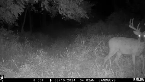 000 Evans Mill Rd, Edwards, IL 61528 photo 18