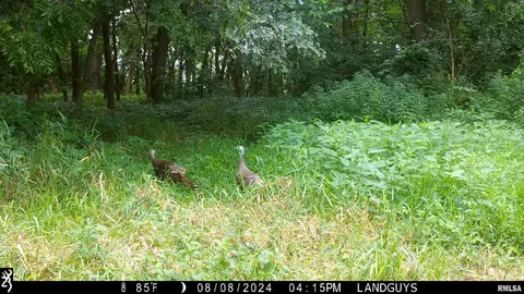 000 Evans Mill Rd, Edwards, IL 61528 photo 12