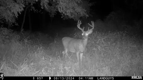 000 Evans Mill Rd, Edwards, IL 61528 photo 21