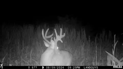 000 Evans Mill Rd, Edwards, IL 61528 photo 14