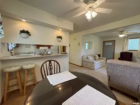 152 Starr Dr, Avon, IL 61415 photo 14
