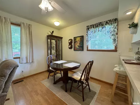 152 Starr Dr, Avon, IL 61415 photo 13