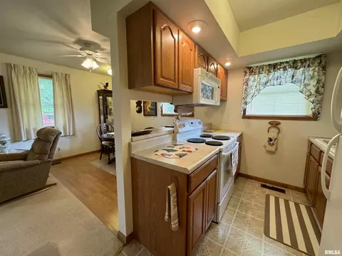 152 Starr Dr, Avon, IL 61415 photo 16