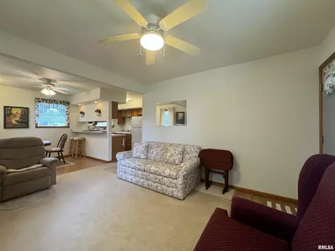 152 Starr Dr, Avon, IL 61415 photo 9