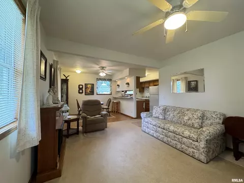 152 Starr Dr, Avon, IL 61415 photo 10