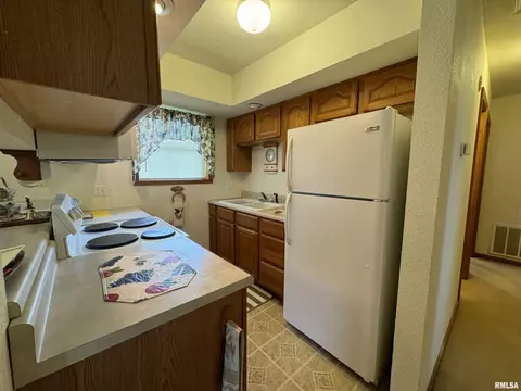 152 Starr Dr, Avon, IL 61415 photo 15