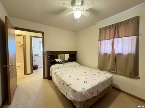 152 Starr Dr, Avon, IL 61415 photo 19