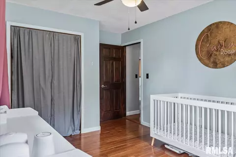 217 Deerhead Ln, Springfield, IL 62704 photo 22