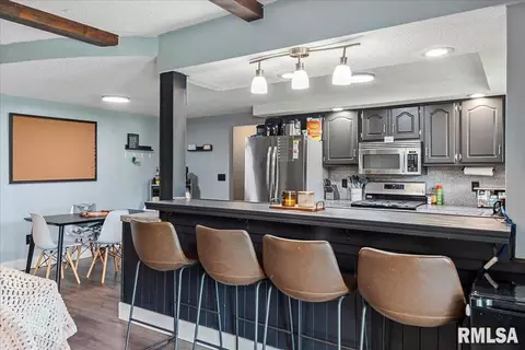 217 Deerhead Ln, Springfield, IL 62704 photo 7