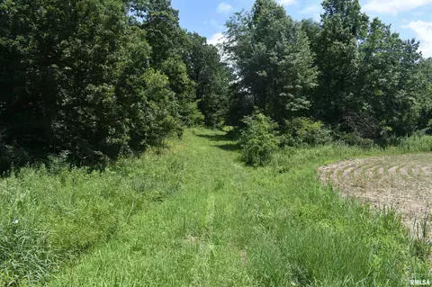 2100 North Rd, White Hall, IL 62092 photo 12