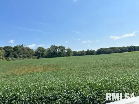 00 Minder Rd, Rochester, IL 62563