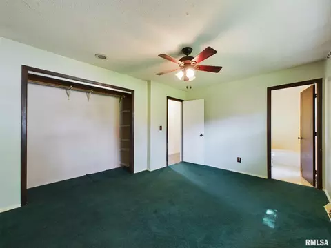 509 N Robin Ct, Athens, IL 62613 photo 10