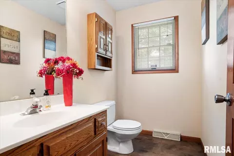 2413 Silver Mill Ct, Springfield, IL 62704 photo 30