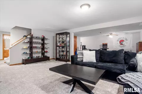 2413 Silver Mill Ct, Springfield, IL 62704 photo 34