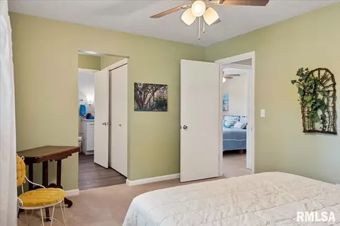 209 Kemmerer St, Assumption, IL 62510 photo 34