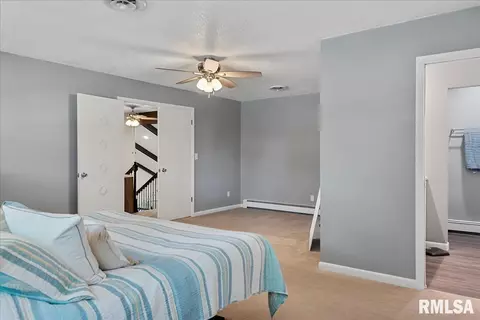 209 Kemmerer St, Assumption, IL 62510 photo 30