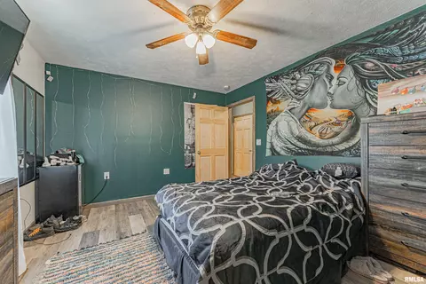 426 Main St, Emden, IL 62635 photo 19