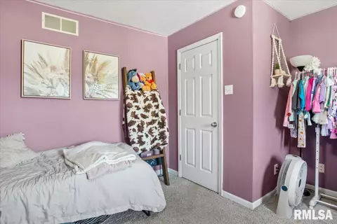 707 N Bitterroot Ct, Athens, IL 62613 photo 25