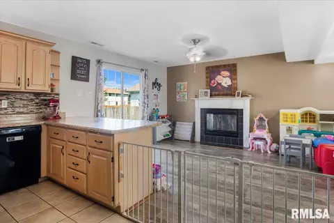 707 N Bitterroot Ct, Athens, IL 62613 photo 14