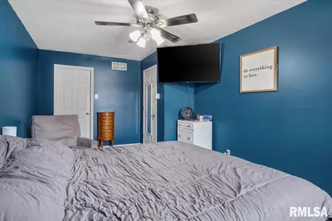 707 N Bitterroot Ct, Athens, IL 62613 photo 29