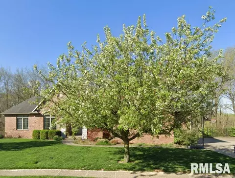 11 Riverwood Dr, Rochester, IL 62563