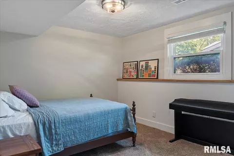 817 Freemans Farm Rd, Springfield, IL 62704 photo 28