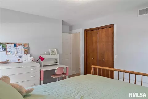 817 Freemans Farm Rd, Springfield, IL 62704 photo 23