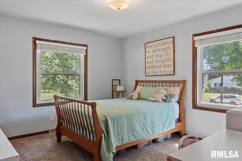 817 Freemans Farm Rd, Springfield, IL 62704 photo 24