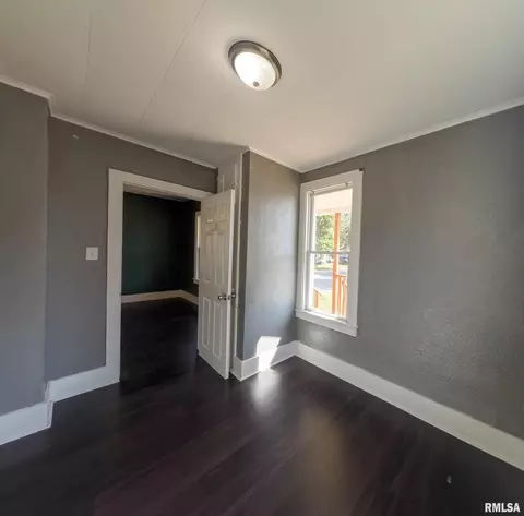 559 E Pine St, Canton, IL 61520 photo 21