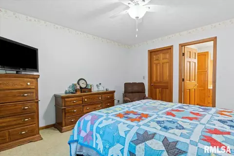 3019 Turning Mill Dr, Springfield, IL 62711 photo 17