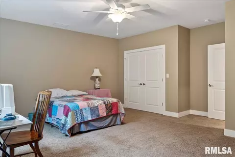 3812 Calla Lily Ln, Springfield, IL 62711 photo 48