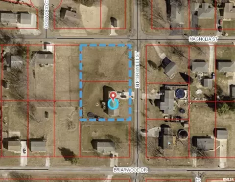210 Bittersweet St, Payson, IL 62360 photo 33