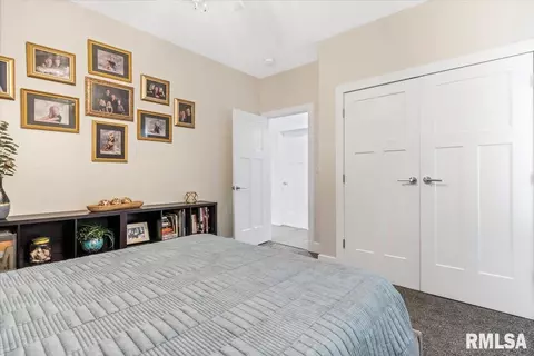 308 Harbor Point Pl, Springfield, IL 62712 photo 25