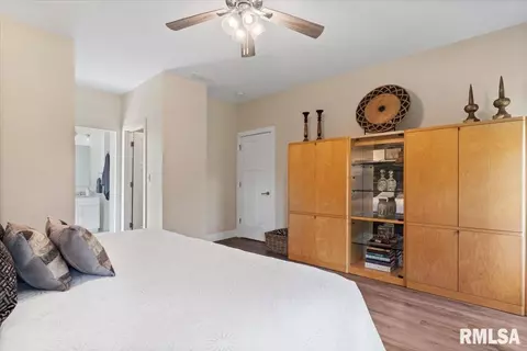 308 Harbor Point Pl, Springfield, IL 62712 photo 18