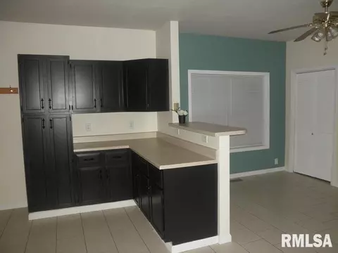 125 E Wineman St, Auburn, IL 62615 photo 7