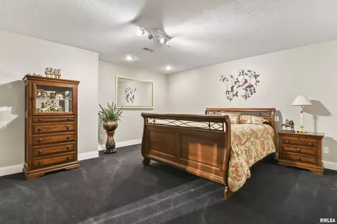 4901 Eagle Crest Ct, Springfield, IL 62711 photo 41