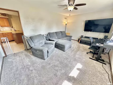 815 W Jackson St, Abingdon, IL 61410 photo 6