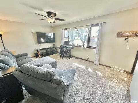 815 W Jackson St, Abingdon, IL 61410 photo 5