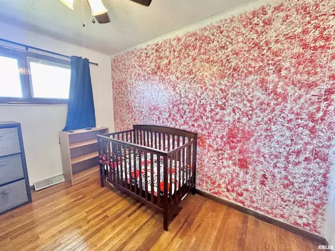815 W Jackson St, Abingdon, IL 61410 photo 20