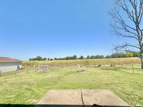 815 W Jackson St, Abingdon, IL 61410 photo 21