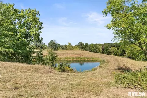 View/Area - 27919 Quarton Rd, Palmyra, IL 62674 photo 3 of 6