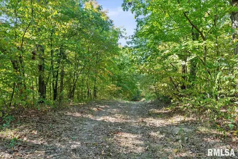 Other - 27919 Quarton Rd, Palmyra, IL 62674 photo 28 of 37